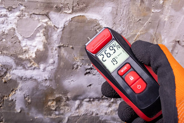 Best Mold Removal Near Me  in Cape May, NJ