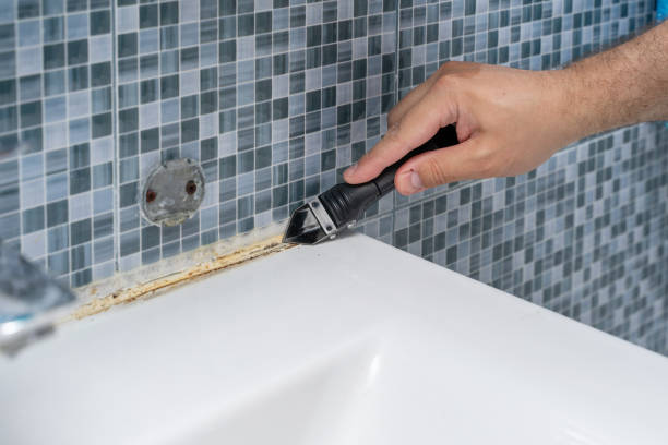 Best Same-Day Mold Removal  in Cape May, NJ