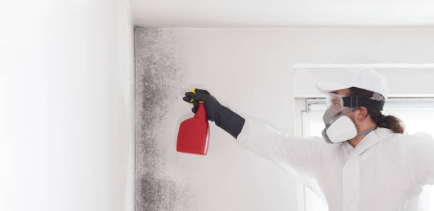 Best Crawl Space Mold Removal  in Cape May, NJ