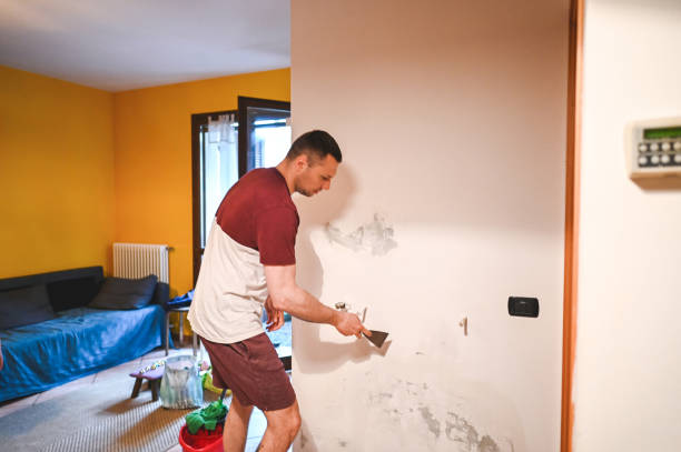 Best Mold Testing  in Cape May, NJ